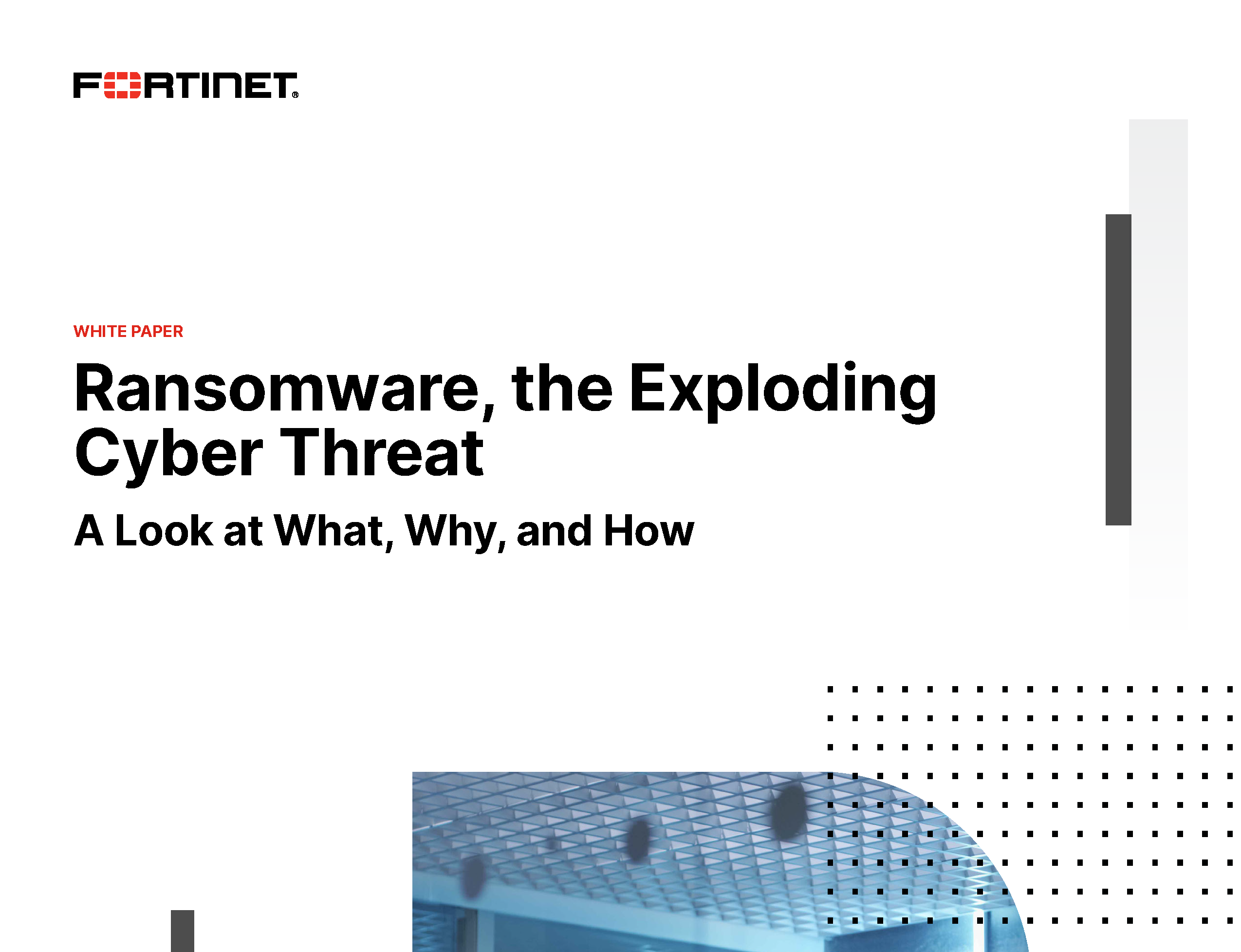 Ransomware, the Exploding Cyber Threat - Flagship Networks